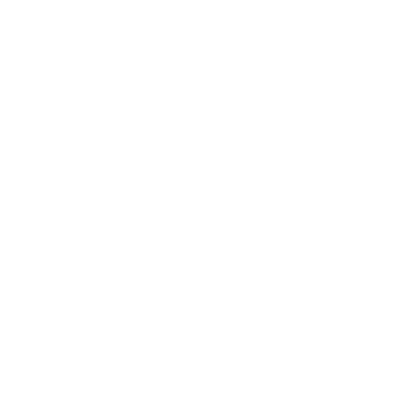 Soulvizion